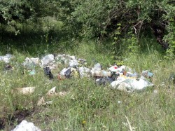 Правительство Ленобласти запустит сайт для жалоб на незаконные свалки, продолжается Год охраны окружающей среды. 