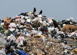 В Ленобласти решают вопрос с незаконным мусорным полигоном