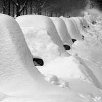Последствия снегопада в Петербурге убирают свыше 600 машин спецтехники